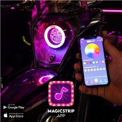 HexBeam Fantic 3.1 RGBW