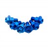 Colored CNC Fork Protector Screws-Viti-Movetronix Shop - Special motorbike products & accessories