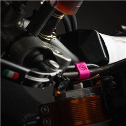 Anelli colorati per forcella WP